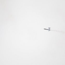 2013 Suche 29062013 Michal